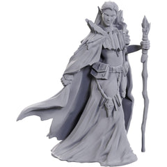 Nolzur's Marvelous Miniatures - Elves 50th Anniversary | Arkham Games and Comics