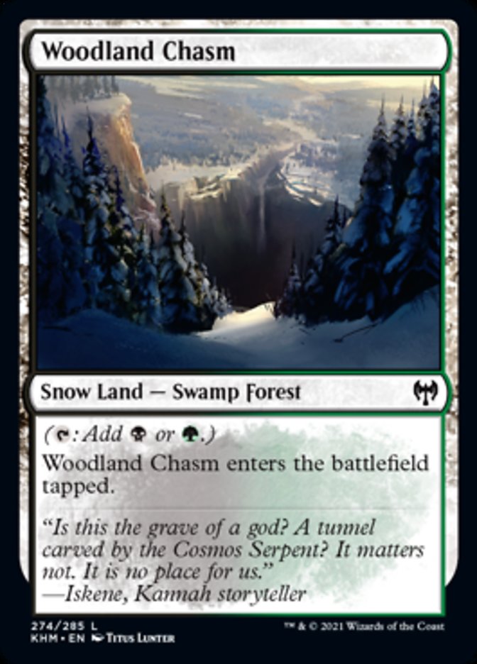 Woodland Chasm [Kaldheim] | Arkham Games and Comics