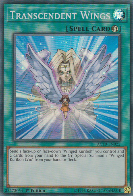 Transcendent Wings [AC19-EN022] Super Rare | Arkham Games and Comics