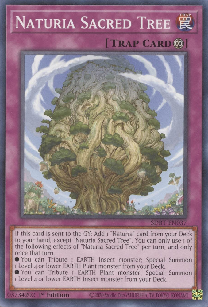 Naturia Sacred Tree [SDBT-EN037] Common | Arkham Games and Comics