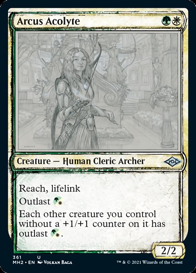 Arcus Acolyte (Sketch) [Modern Horizons 2] | Arkham Games and Comics