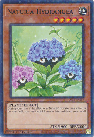 Naturia Hydrangea (Duel Terminal) [HAC1-EN107] Common | Arkham Games and Comics