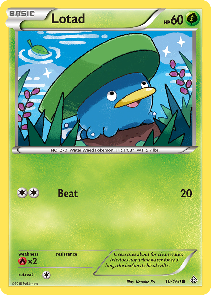 Lotad (10/160) [XY: Primal Clash] | Arkham Games and Comics