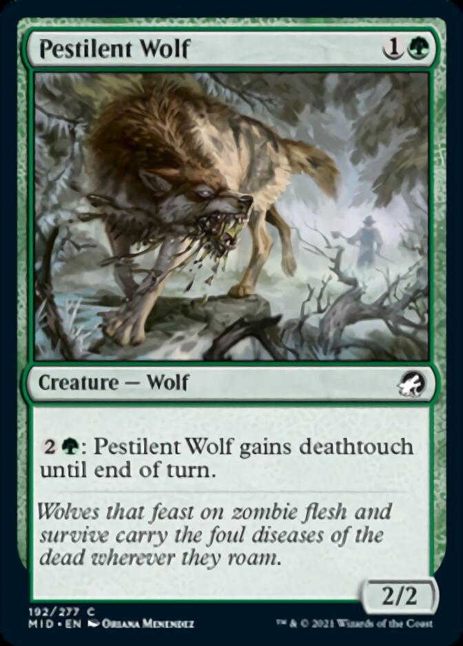 Pestilent Wolf [Innistrad: Midnight Hunt] | Arkham Games and Comics