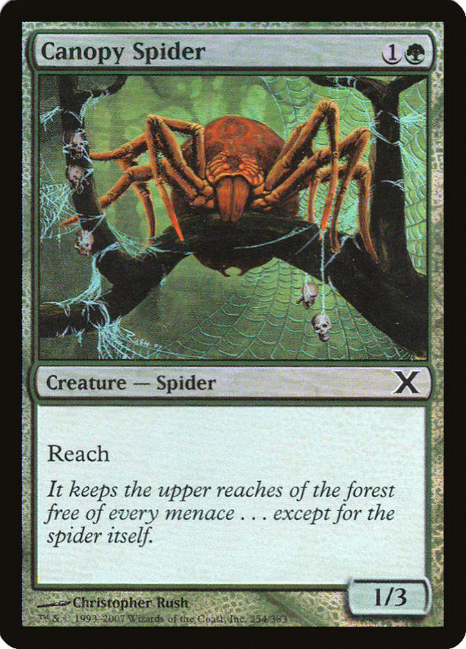 Canopy Spider (Premium Foil) [Tenth Edition] | Arkham Games and Comics