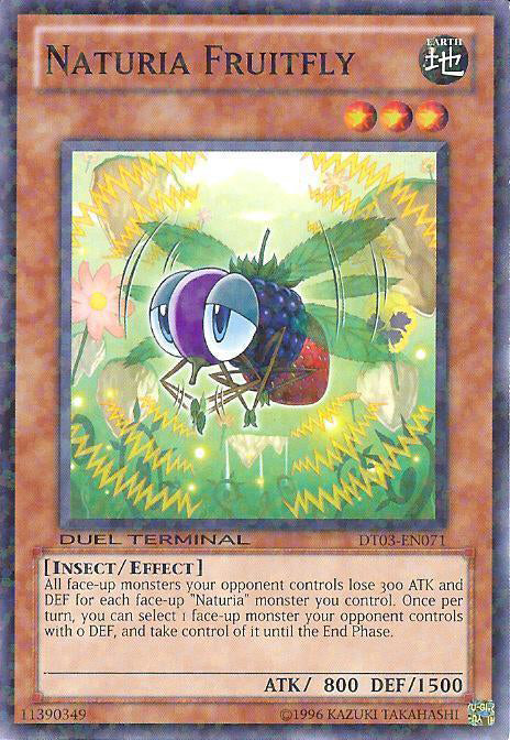 Naturia Fruitfly [DT03-EN071] Common | Arkham Games and Comics