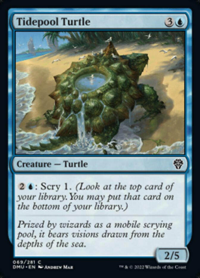 Tidepool Turtle [Dominaria United] | Arkham Games and Comics