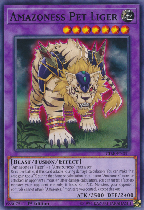 Amazoness Pet Liger [CIBR-EN094] Common | Arkham Games and Comics