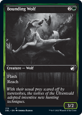 Bounding Wolf [Innistrad: Double Feature] | Arkham Games and Comics