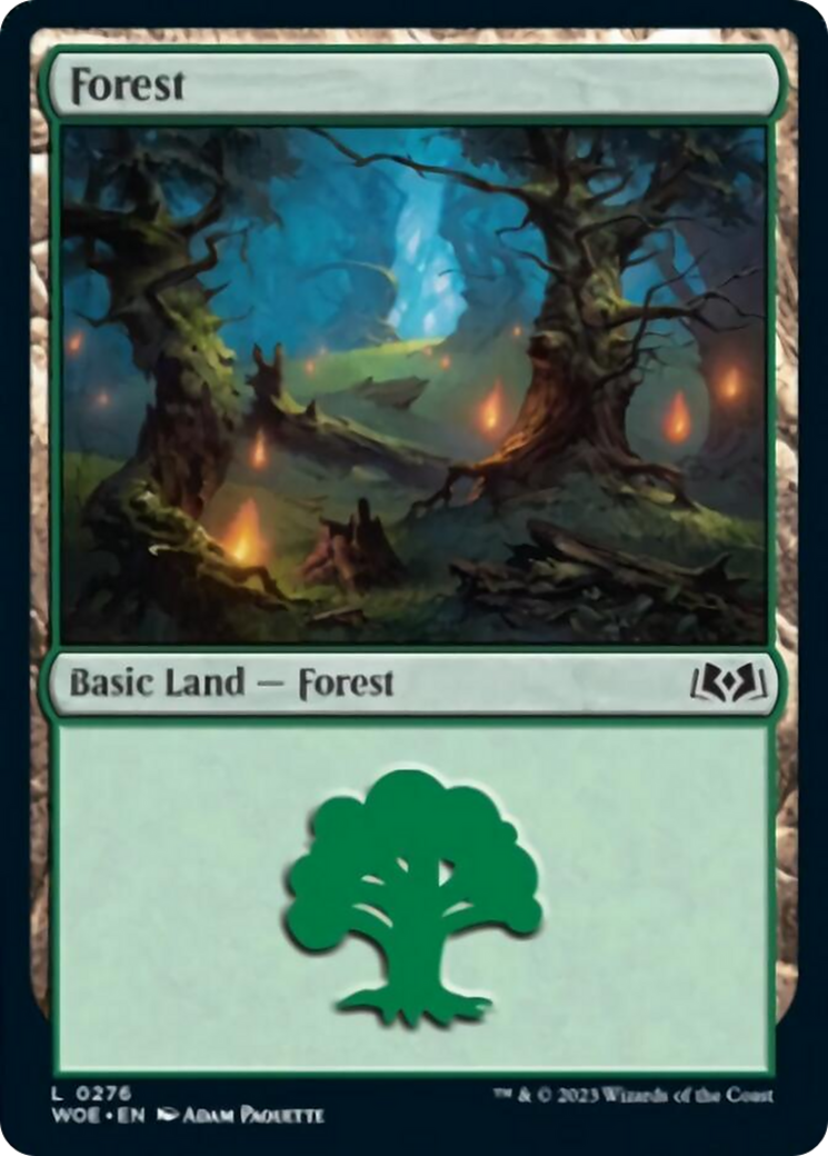 Forest (0276) [Wilds of Eldraine] | Arkham Games and Comics