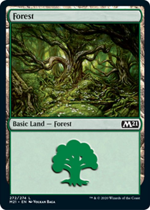 Forest [Core Set 2021] | Arkham Games and Comics