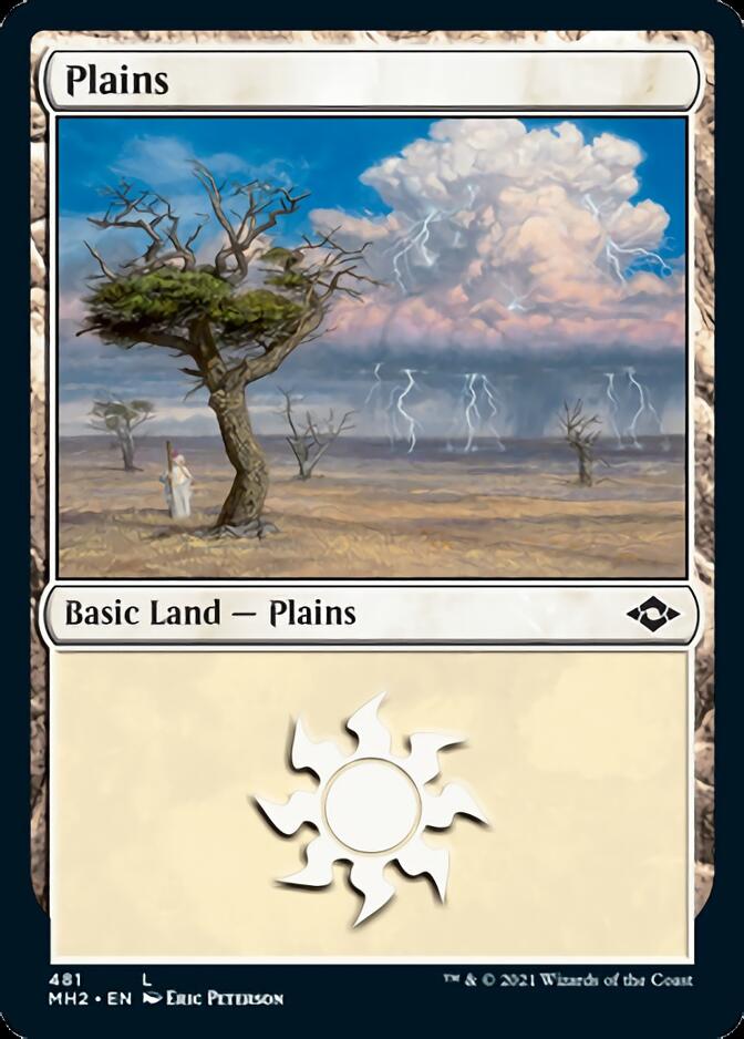 Plains (481) (Foil Etched) [Modern Horizons 2] | Arkham Games and Comics