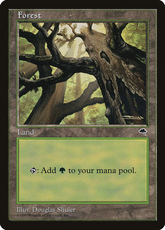 Forest (Skyward) [Tempest] | Arkham Games and Comics