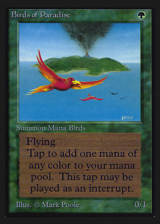 Birds of Paradise (IE) [Intl. Collectors’ Edition] | Arkham Games and Comics