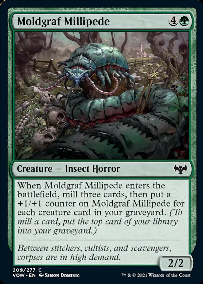 Moldgraf Millipede [Innistrad: Crimson Vow] | Arkham Games and Comics