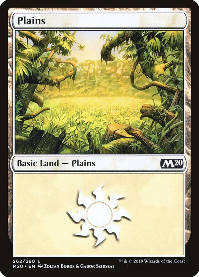 Plains (262) [Core Set 2020] | Arkham Games and Comics