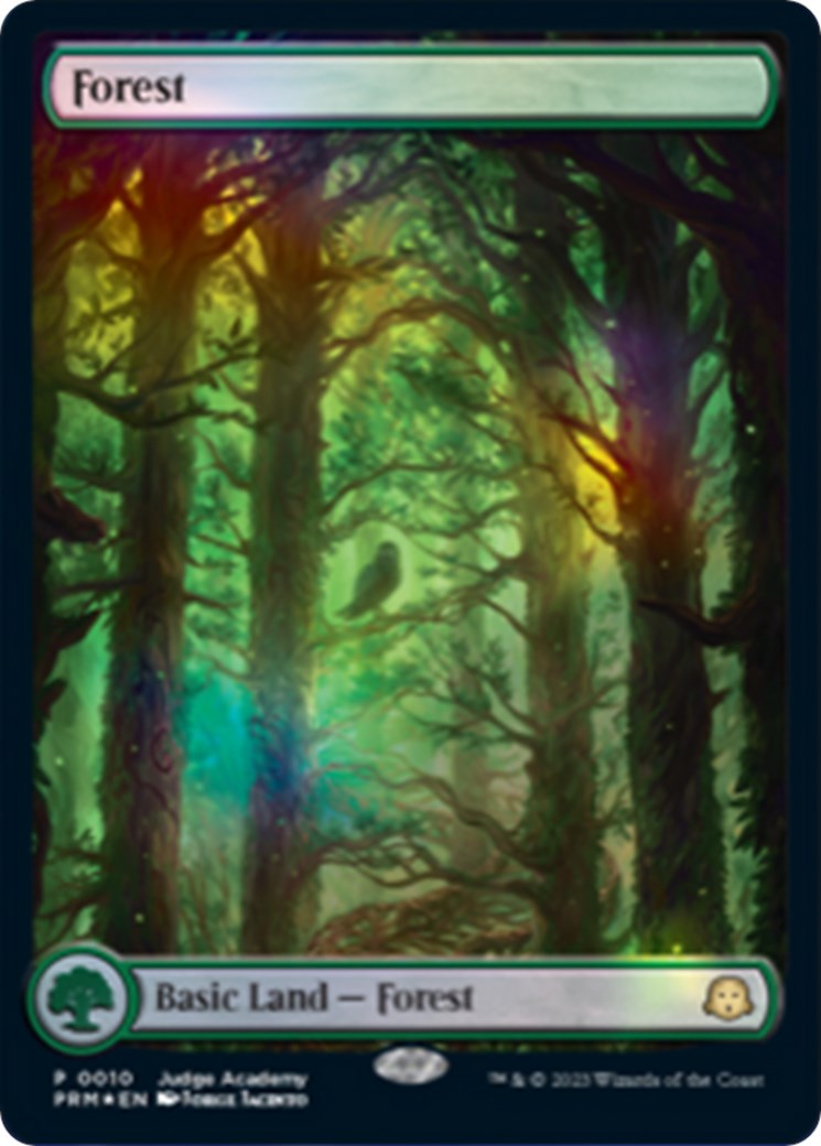 Forest [Judge Gift Cards 2023] | Arkham Games and Comics