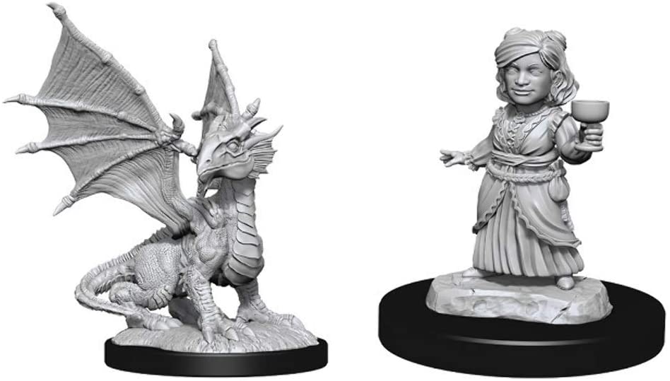 Nolzur's Marvelous Miniatures Silver Dragon Wyrmling and Halfling Dragon Friend | Arkham Games and Comics