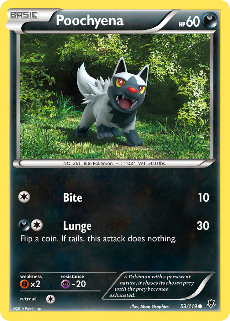 Poochyena (53/119) [XY: Phantom Forces] | Arkham Games and Comics