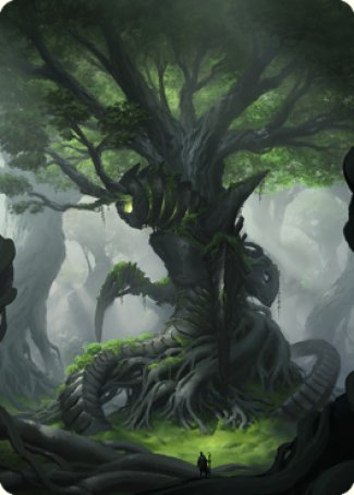 Forest Art Card [The Brothers' War Art Series] | Arkham Games and Comics