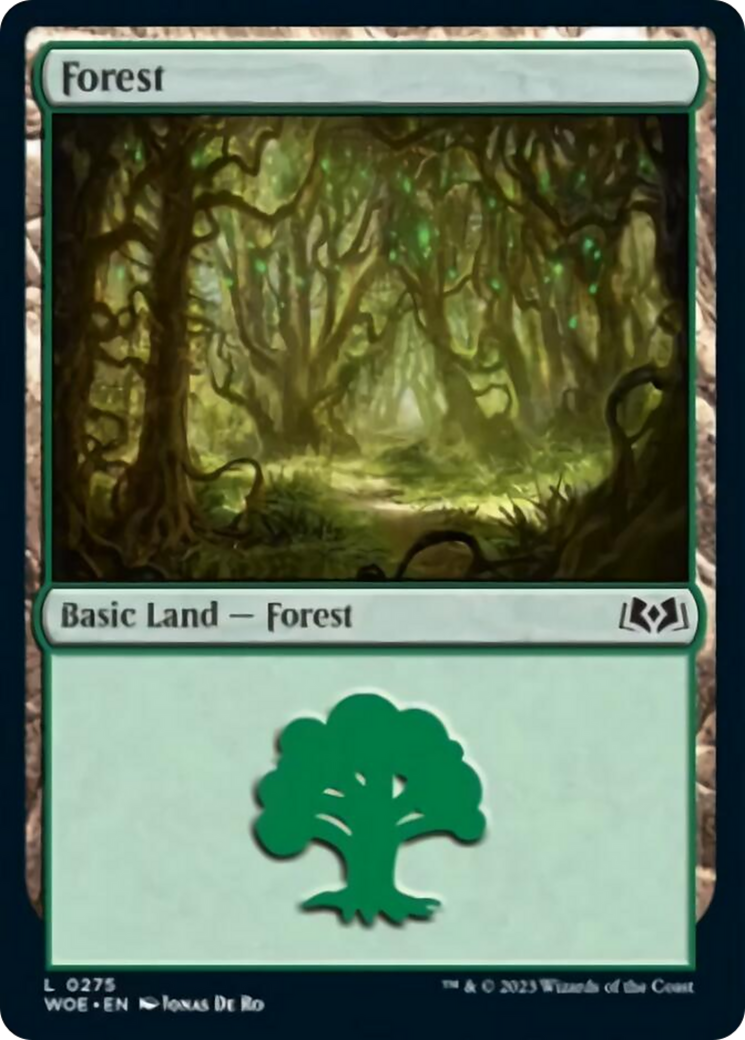 Forest (0275) [Wilds of Eldraine] | Arkham Games and Comics