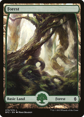 Forest (270) - Full Art [Battle for Zendikar] | Arkham Games and Comics