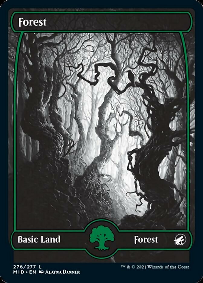 Forest (276) [Innistrad: Midnight Hunt] | Arkham Games and Comics