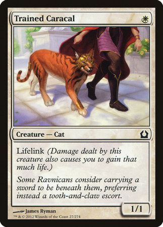 Trained Caracal [Return to Ravnica] | Arkham Games and Comics