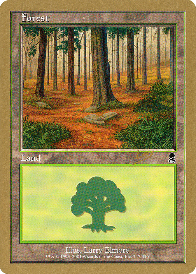 Forest (rl347) (Raphael Levy) [World Championship Decks 2002] | Arkham Games and Comics