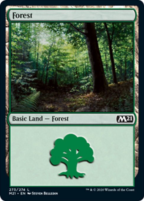 Forest (273) [Core Set 2021] | Arkham Games and Comics