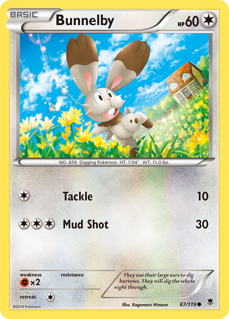 Bunnelby (87/119) [XY: Phantom Forces] | Arkham Games and Comics