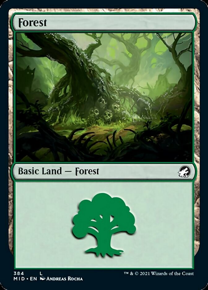 Forest (384) [Innistrad: Midnight Hunt] | Arkham Games and Comics