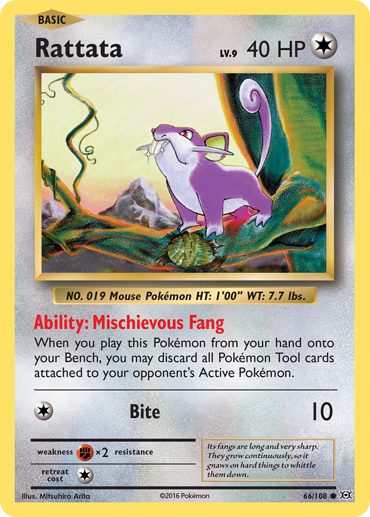 Rattata (66/108) [XY: Evolutions] | Arkham Games and Comics