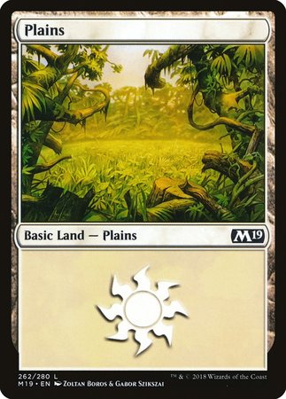 Plains (262) [Core Set 2019] | Arkham Games and Comics