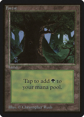 Forest (C) [Limited Edition Beta] | Arkham Games and Comics
