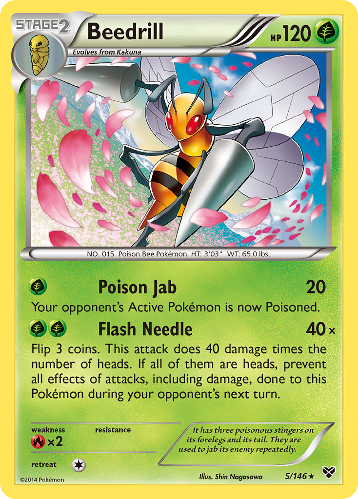 Beedrill (5/146) [XY: Base Set] | Arkham Games and Comics