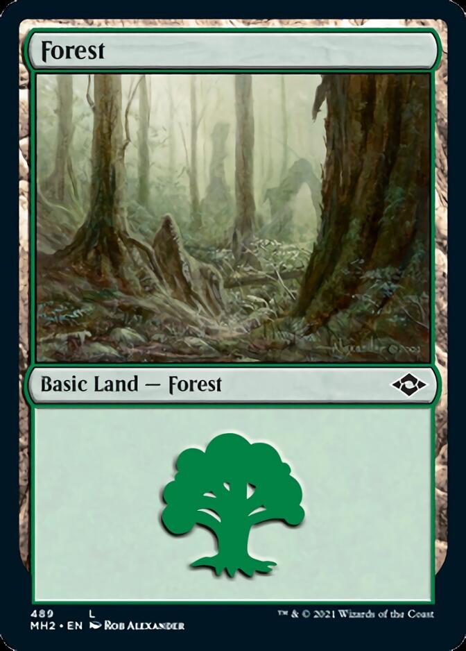 Forest (489) [Modern Horizons 2] | Arkham Games and Comics