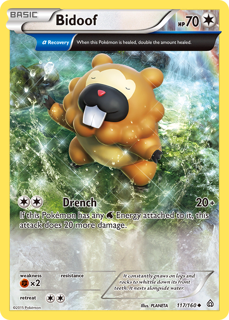 Bidoof (117/160) [XY: Primal Clash] | Arkham Games and Comics