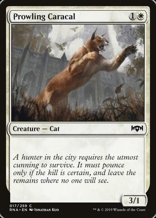 Prowling Caracal [Ravnica Allegiance] | Arkham Games and Comics