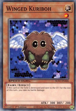 Winged Kuriboh [SGX1-ENA06] Common | Arkham Games and Comics