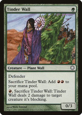 Tinder Wall [Coldsnap Theme Decks] | Arkham Games and Comics