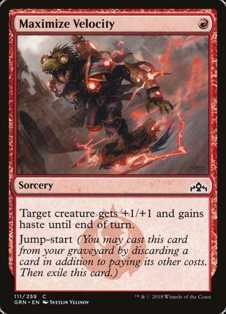 Maximize Velocity [Guilds of Ravnica] | Arkham Games and Comics