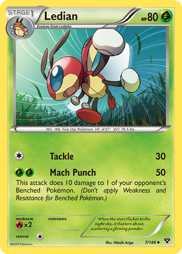 Ledian (7/146) [XY: Base Set] | Arkham Games and Comics