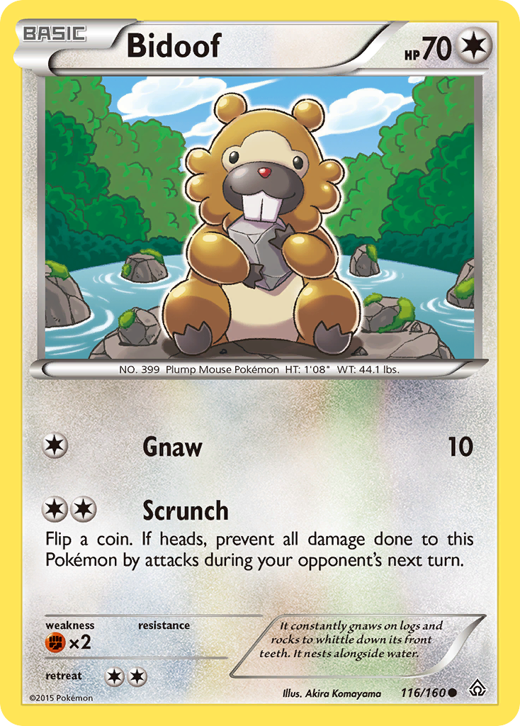 Bidoof (116/160) [XY: Primal Clash] | Arkham Games and Comics