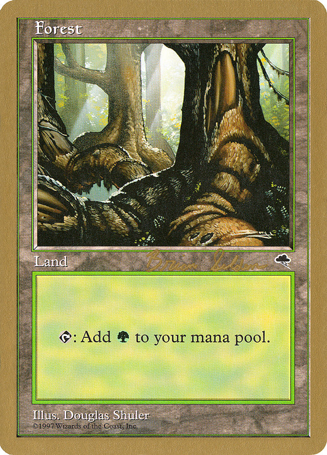 Forest (bs348) (Brian Selden) [World Championship Decks 1998] | Arkham Games and Comics