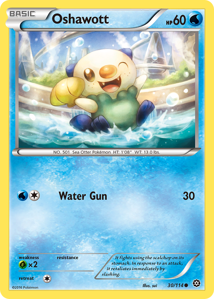 Oshawott (30/114) [XY: Steam Siege] | Arkham Games and Comics